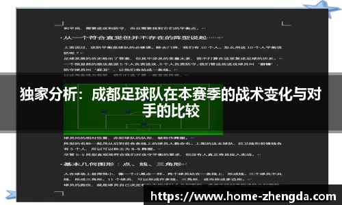 独家分析：成都足球队在本赛季的战术变化与对手的比较